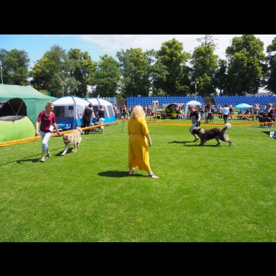 NDS GORZÓW WLKP.'19 - SULIKO
